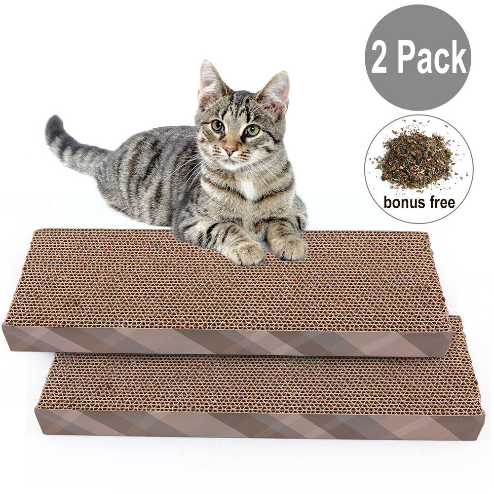 Cat Scratch Pad