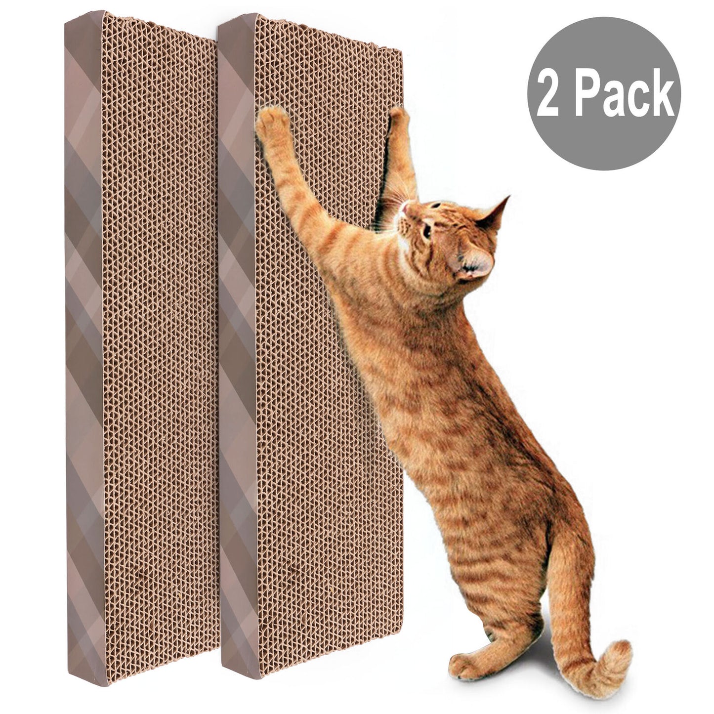 Cat Scratch Pad